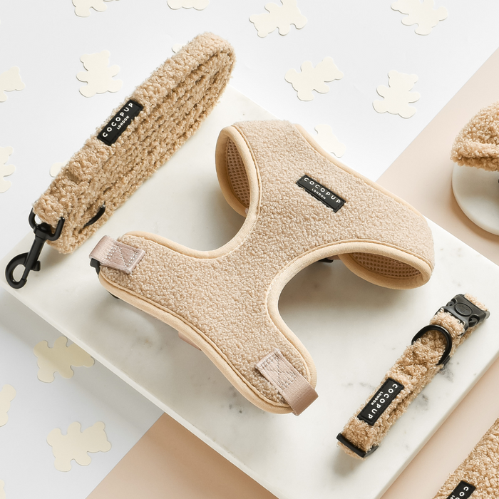 teddy rupert bundle (lead, collar, harness)