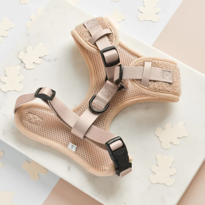 The Teddy Rupert Adjustable Neck Harness, Lead & Collar Bundle from Cocopup London rests on a white marble surface. The beige harness features black buckles and straps with a breathable mesh design, velcro fastenings, and a size "S" label, making it ideal for pets. Small beige teddy bear-shaped cutouts are scattered around the harness, adding a whimsical touch.
