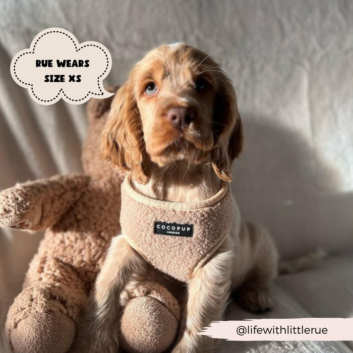 A small puppy, adorned in an adjustable neck harness from the "Teddy Rupert Adjustable Neck Harness, Lead & Collar Bundle" by Cocopup London, sits next to a teddy bear. The image features a beige-toned background with the Instagram handle @lifewithlittlerue displayed at the bottom right.
