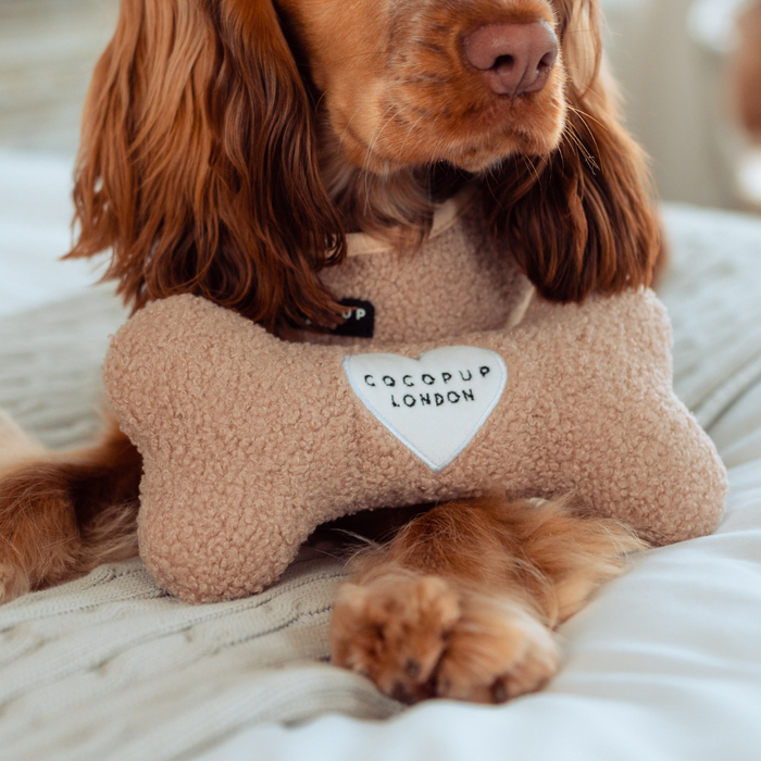 Brown dog with long ears holds a beige Cocopup London teddy bone toy between its front paws.