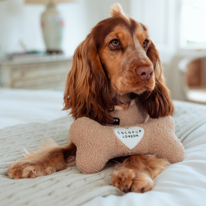 Brown dog snuggled up with a fluffy, brown Cocopup London Teddy Rupert bone toy on a bed.