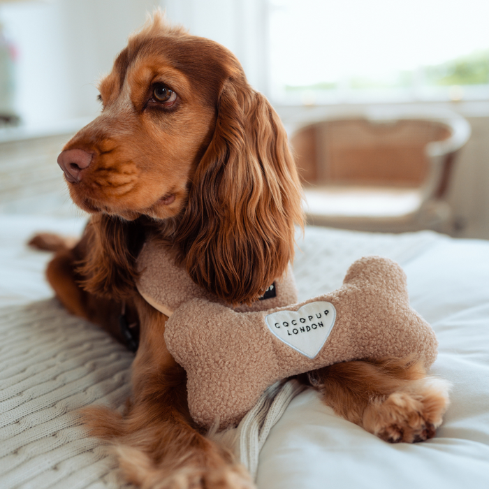 Golden Cocker Spaniel lying on a bed with a brown plush Cocopup London bone toy.