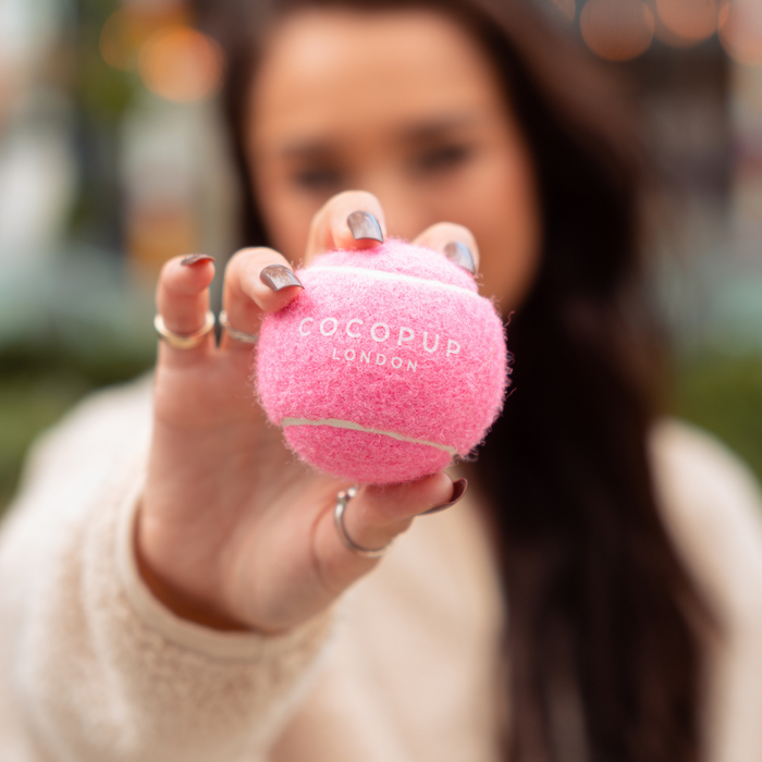 Hand holding a pink Cocopup London tennis ball dog toy close to the camera; person’s face blurred in background.