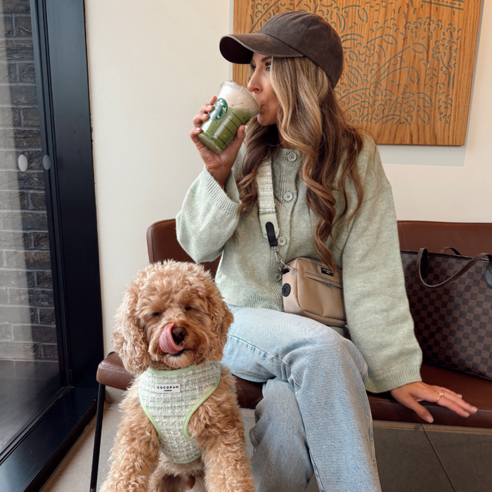 Woman in casualwear drinks beside her dog in a green harness and a Cocopup London Matcha Tweed bag strap.