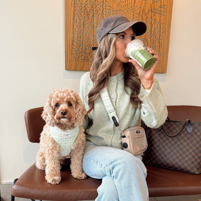 Woman in green sweater with dog on bench, wearing a Cocopup London textured tweed matcha-colored bag strap.