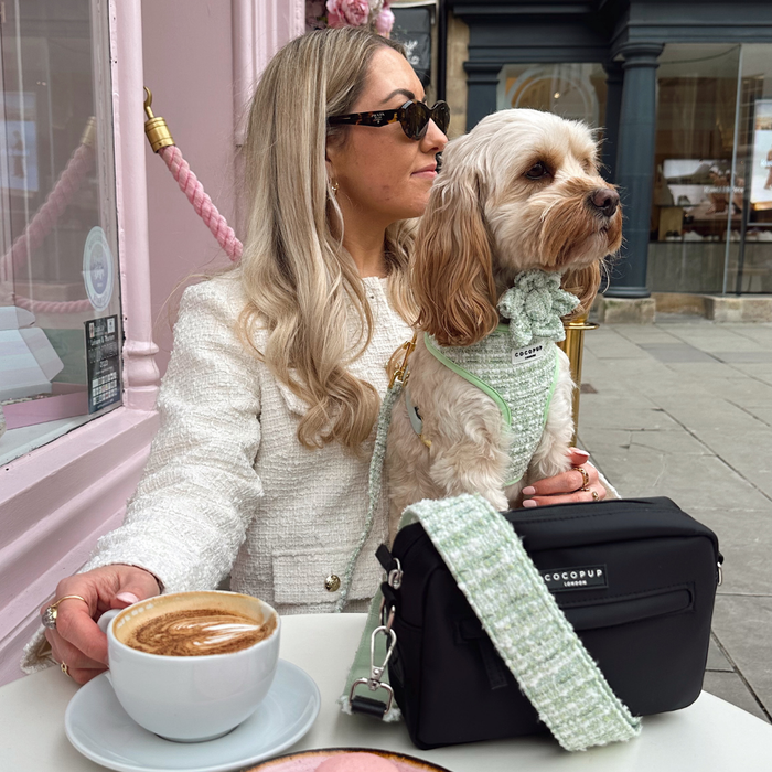 Small dog in a green textured tweed flower collar sits beside woman in sunglasses sipping coffee.