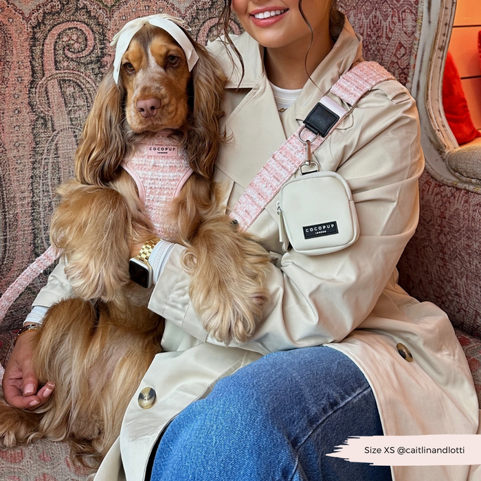 Woman in beige trench coat sits with a dog wearing a pink textured tweed harness and collar.
