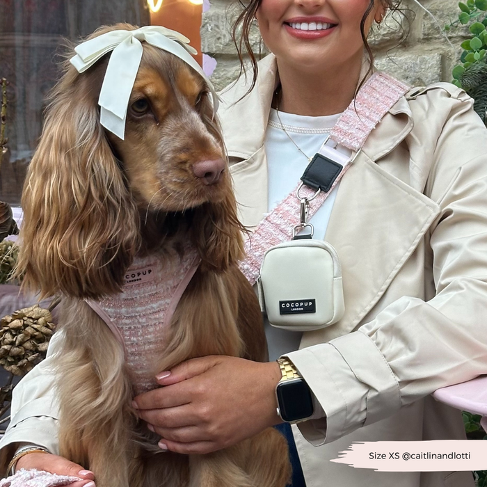 Woman holds a pink textured tweed bag strap; her dog wears a matching pink harness with a white bow.