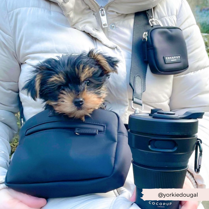 Yorkshire Terrier puppy in a black Cocopup London dog walking bag bundle on a persons lap.