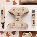 Tan teddy fabric harness, lead, and collar bundle with bear embroidery displayed on a tray beside small bear decorations.