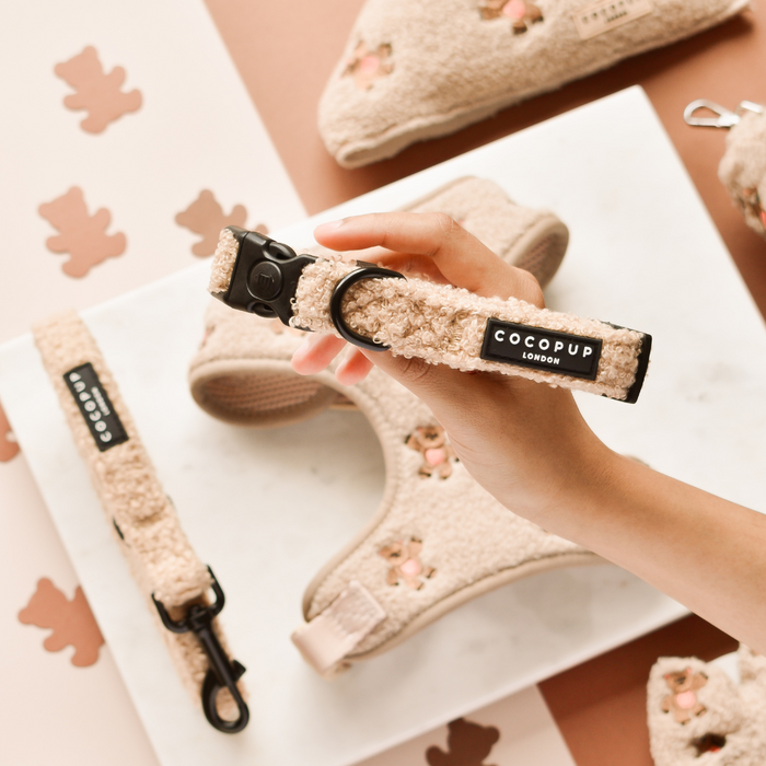 Tan Cocopup London Theo Embroidered Teddy Harness, lead, and collar bundle held by a hand.