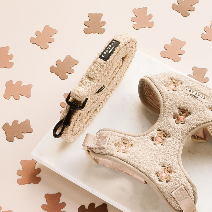 Cream teddy-textured harness, lead, and collar set with Theo embroidery on a bear-patterned background.