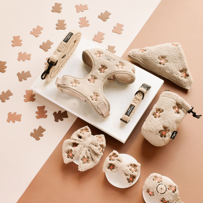 Neutral-toned embroidered teddy harness, lead, and collar bundle arranged on a marble tray.