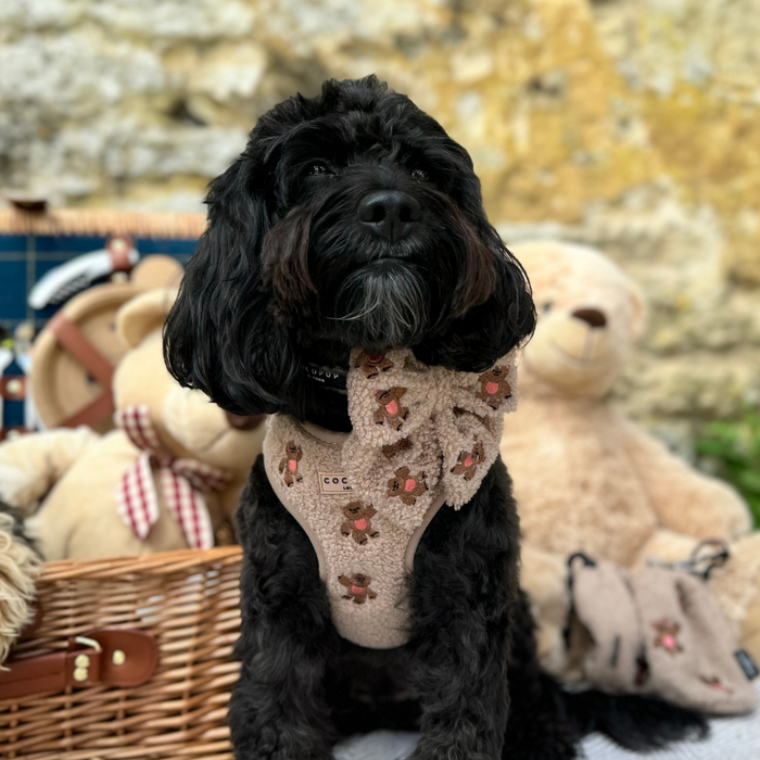 Black dog wearing a beige Cocopup London embroidered teddy harness sits beside plush teddy bears and a picnic basket.