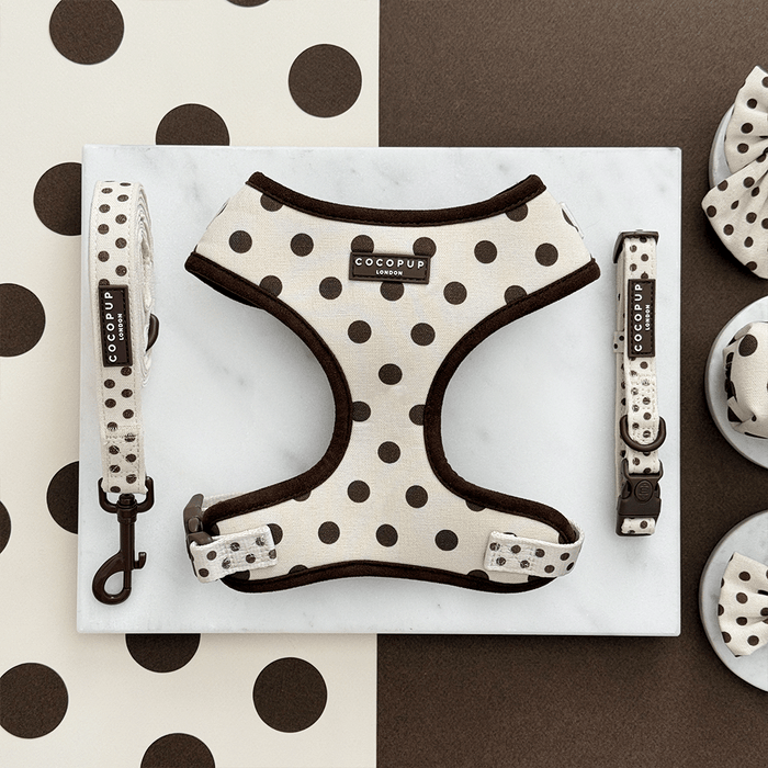 Dog harness, leash, and collar set with polka dot pattern on a marble surface.