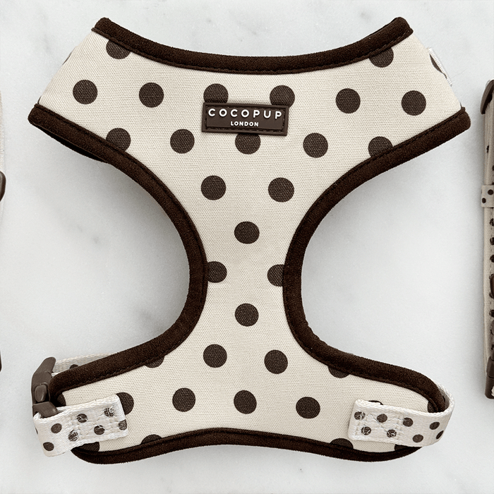 Dog harness with polka dot pattern and 'Cocopup London' branding on a white background