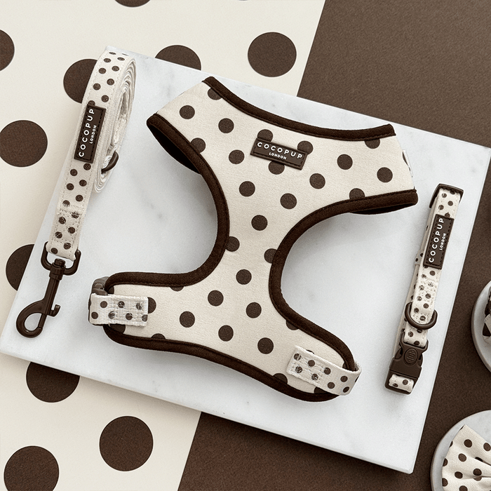 Dog harness and leash set with polka dot pattern on a marble surface