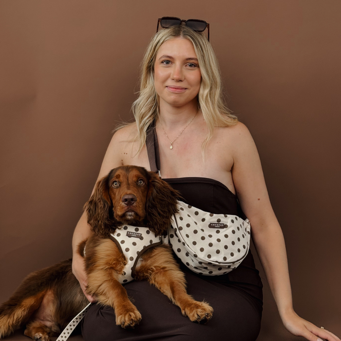 Tiramisu Polka Dot Adjustable Neck Harness, Lead & Collar Bundle