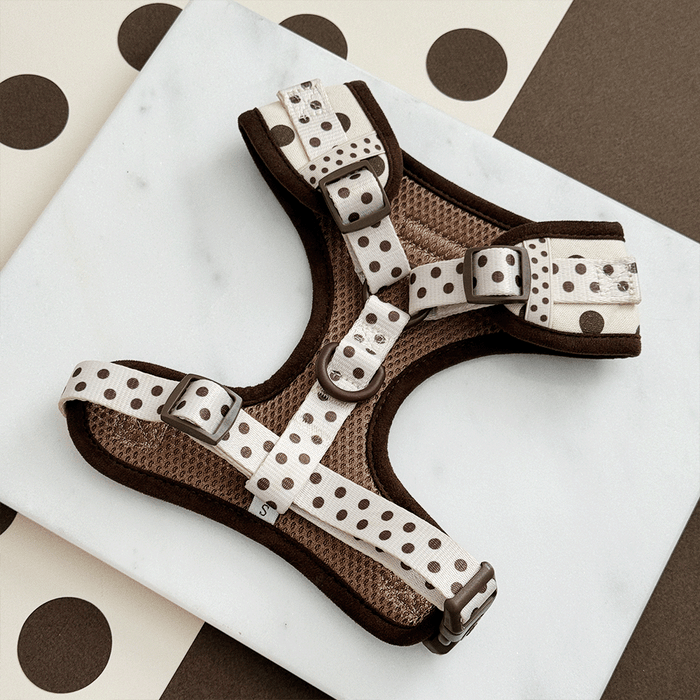 Dog harness with brown and white polka dot pattern on a marble surface