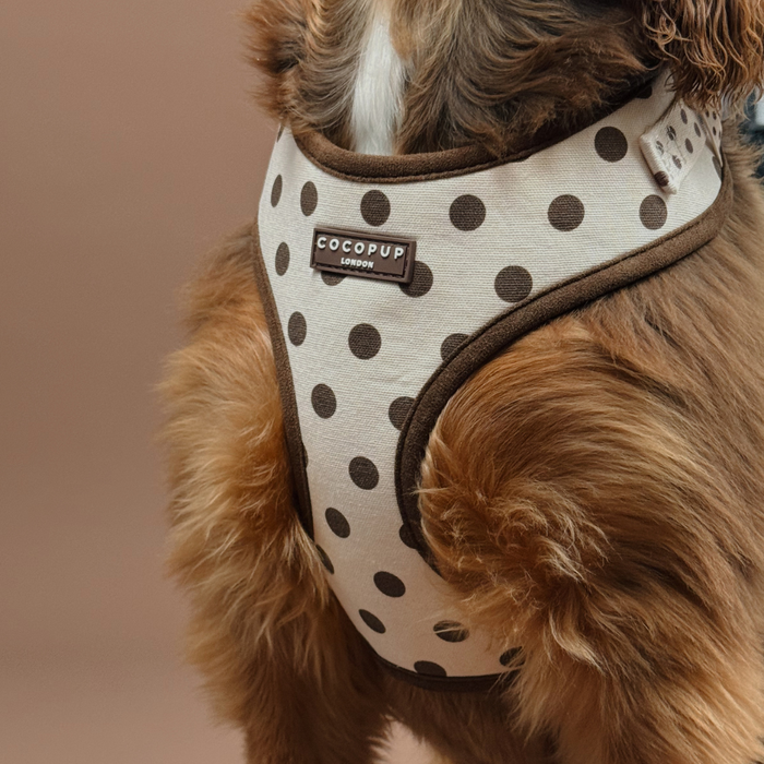 Tiramisu Polka Dot Adjustable Neck HARNESS