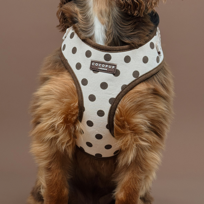 Tiramisu Polka Dot Adjustable Neck HARNESS