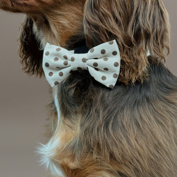 Tiramisu Polka Dot Bow Tie