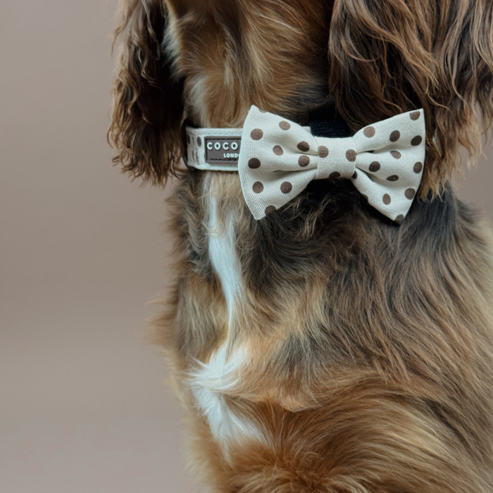 Tiramisu Polka Dot Bow Tie