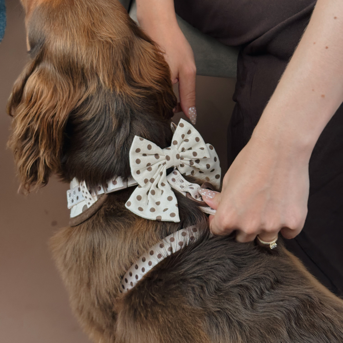 Tiramisu Polka Dot Sailor Bow Tie