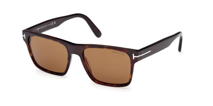 Dark Havana/Brown / 55