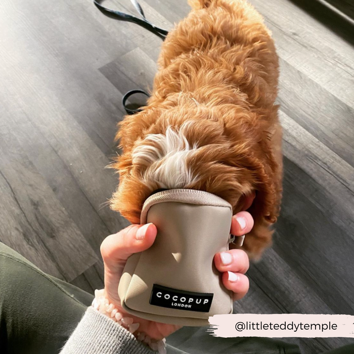 Fluffy brown dog sniffs a caramel-colored Cocopup London treat pouch held by a person indoors.