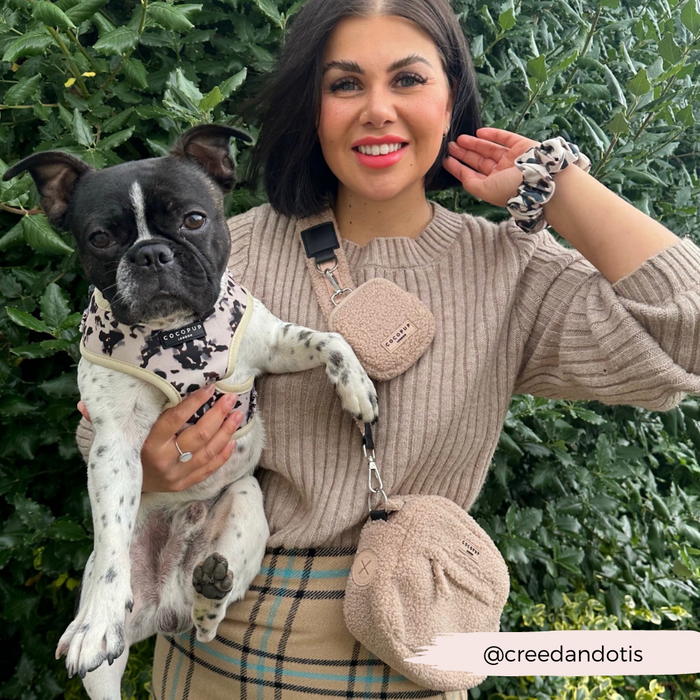 Woman and black and white dog in matching tan accessories outside, holding Cocopup Londons beige Teddy Rupert Treat Pouch.