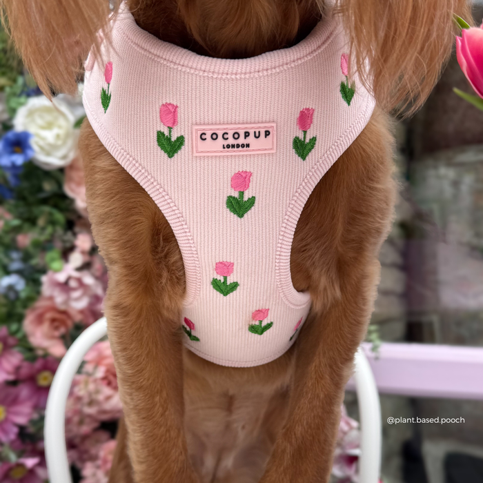 Dog wearing a floral-pattern Cocopup London Tulip Tails harness, lead, and collar sits among vibrant flowers.