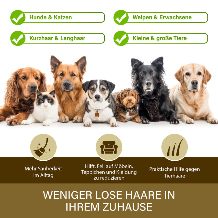 Sechs Hunde und eine Katze nebeneinander – geeignet für Welpen und erwachsene Tiere, Kurz- und Langhaar, klein wie groß