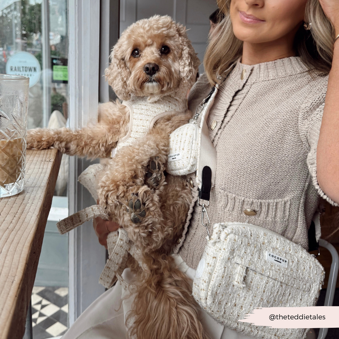 Woman at a cafe holding her dog, both in beige knits; dog wears a vanilla textured tweed harness.