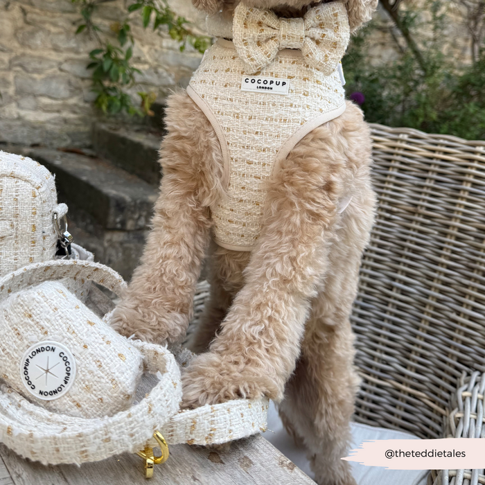 Fluffy dog wears a vanilla textured tweed adjustable harness from Cocopup London, next to matching accessories.
