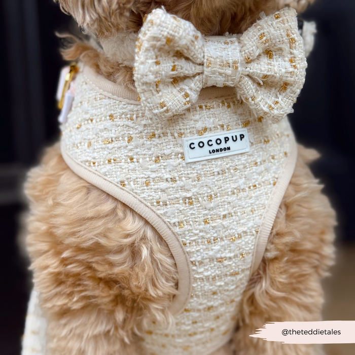 Golden doodle wearing a cream textured tweed harness and matching bow tie from Cocopup London.