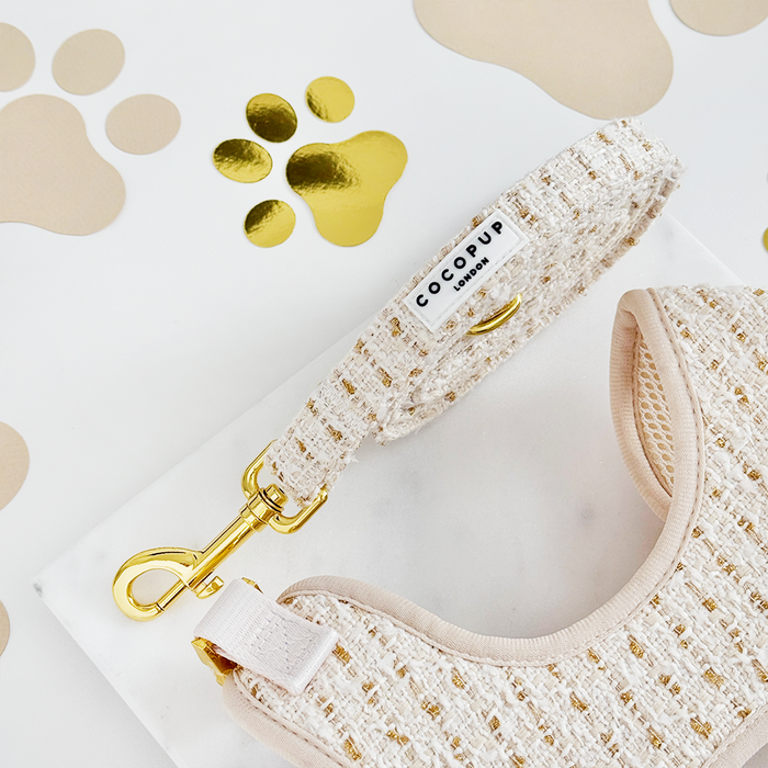 Vanilla-colored textured tweed dog lead with gold hardware accents, designed for small dogs.
