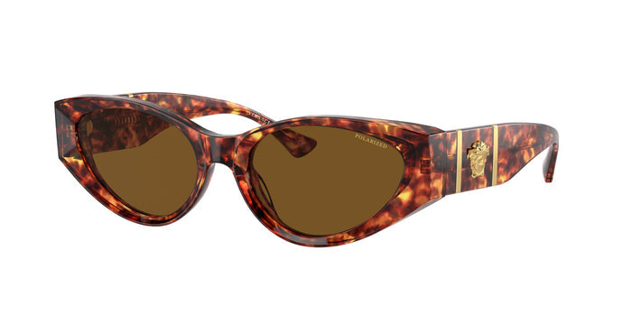 Havana/Dark Brown Polarised / 55
