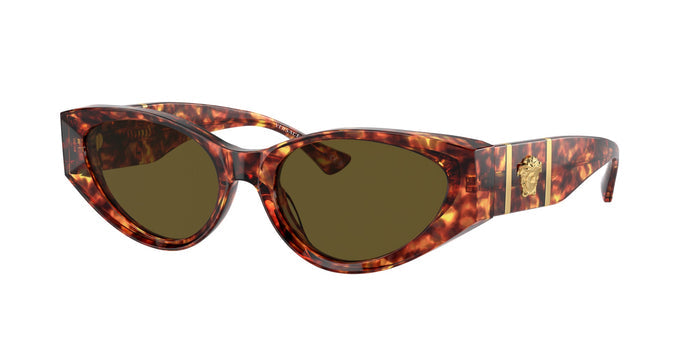 Havana/Dark Brown / 55
