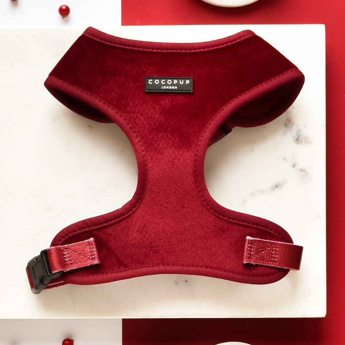 Berry red velvet adjustable neck harness by Cocopup London on white marble with a red backdrop.