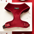 Berry red velvet adjustable neck harness by Cocopup London on white marble with a red backdrop.