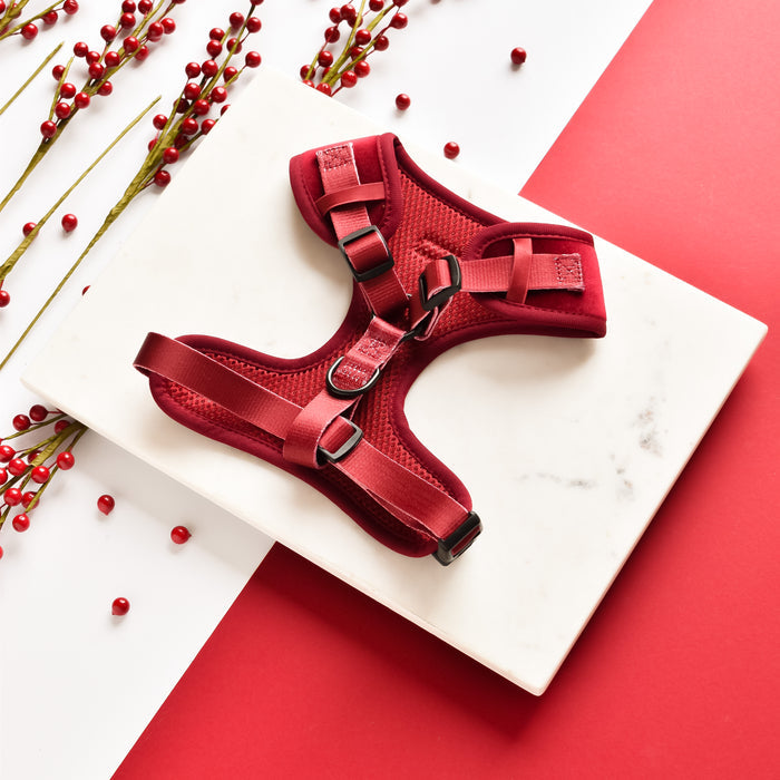 Berry red velvet adjustable dog harness on white marble, accented with scattered red berries.
