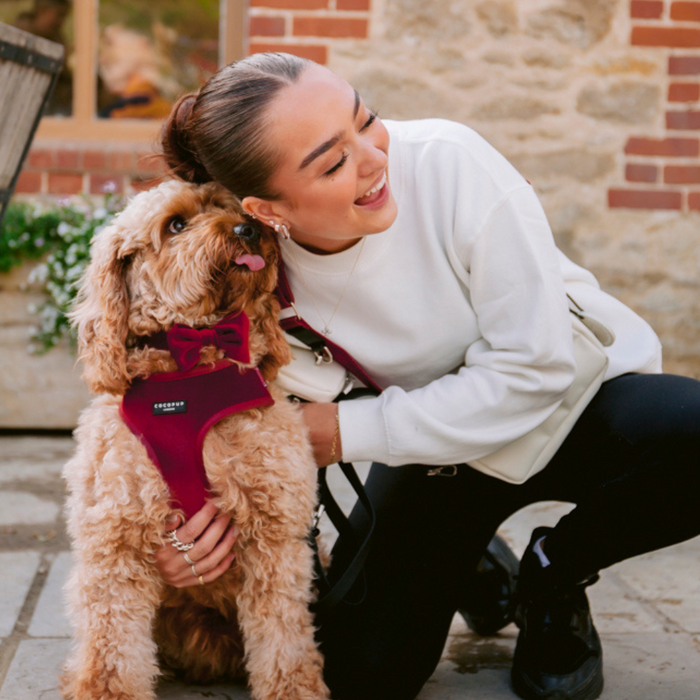 Woman kneels beside a dog wearing a berry red velvet harness on a patio.