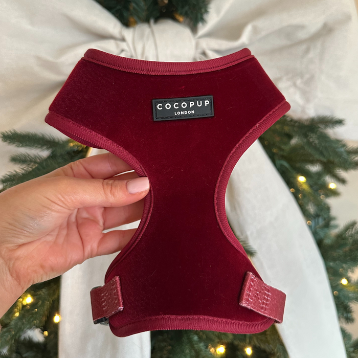 Hand holding a berry red velvet dog harness with a white bow, next to a Christmas tree.