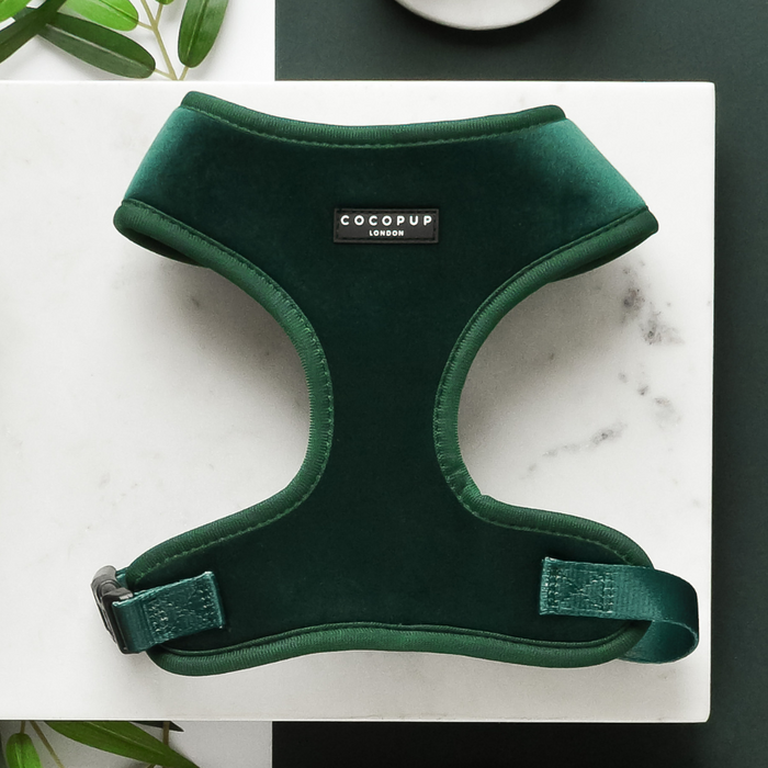 Forest green velvet adjustable neck harness by Cocopup London on white marble, accented with green leaves.