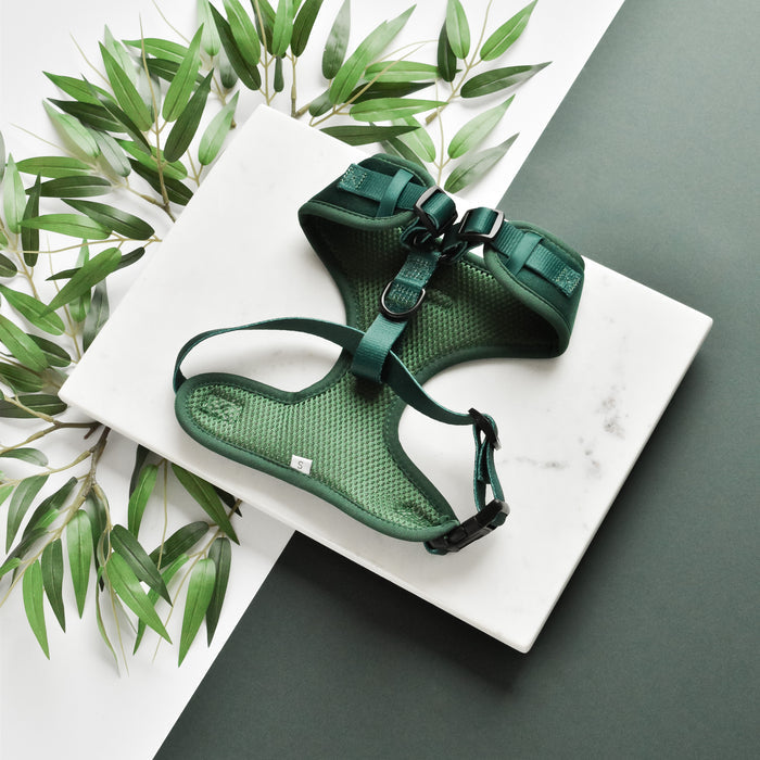 Forest green velvet adjustable dog harness by Cocopup London displayed on marble with scattered green leaves.