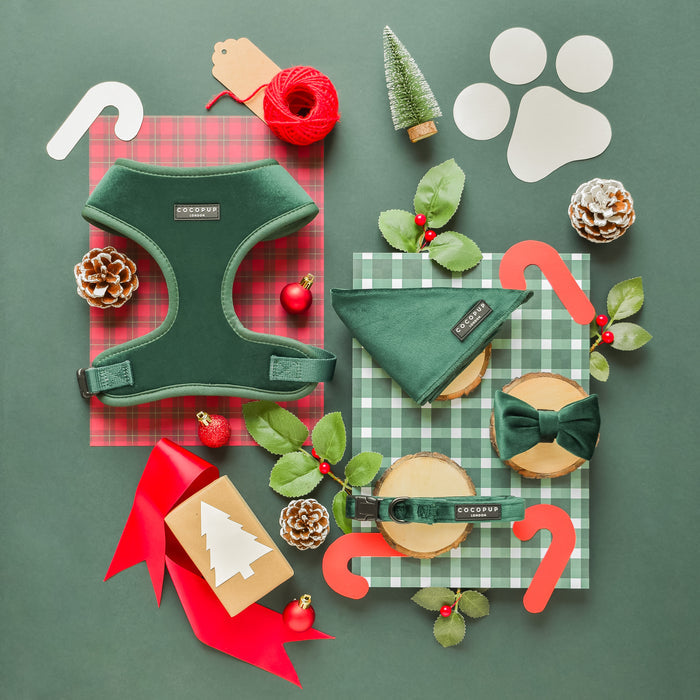 Green velvet dog harness on green plaid, surrounded by subtle Christmas decorations.