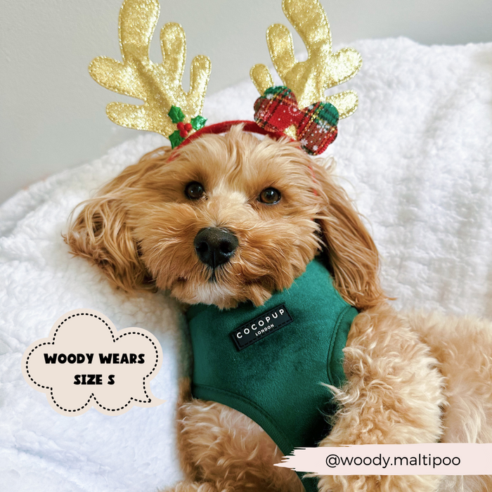 Fluffy dog wearing a forest green velvet adjustable Cocopup London harness, lying on a white blanket.