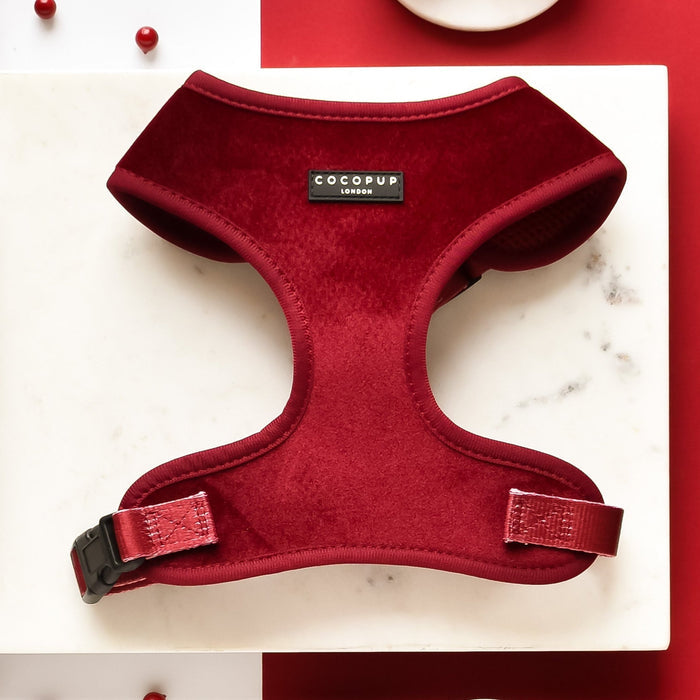 Berry red velvet harness, lead, and collar set with gold hardware from Cocopup London.