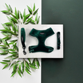 Forest green velvet adjustable harness, collar, and lead set from Cocopup London arranged on marble with leafy branches.
